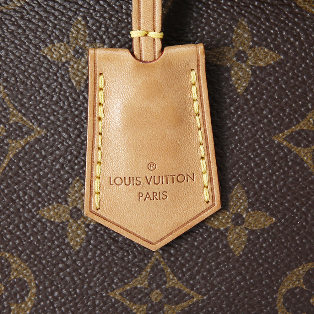 LOUIS VUITTON(USED)루이비통 모노그램 클루니MM
