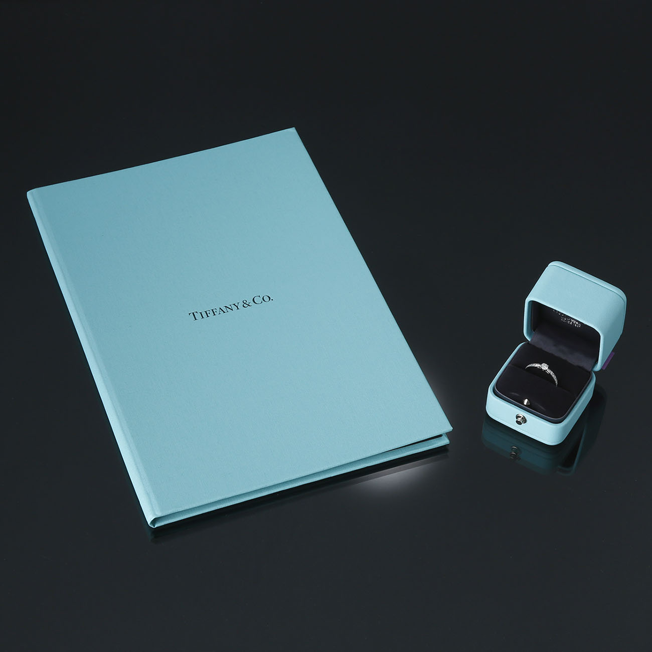 TIFFANY(USED)티파니 다이아 웨딩링 0.22CT #52