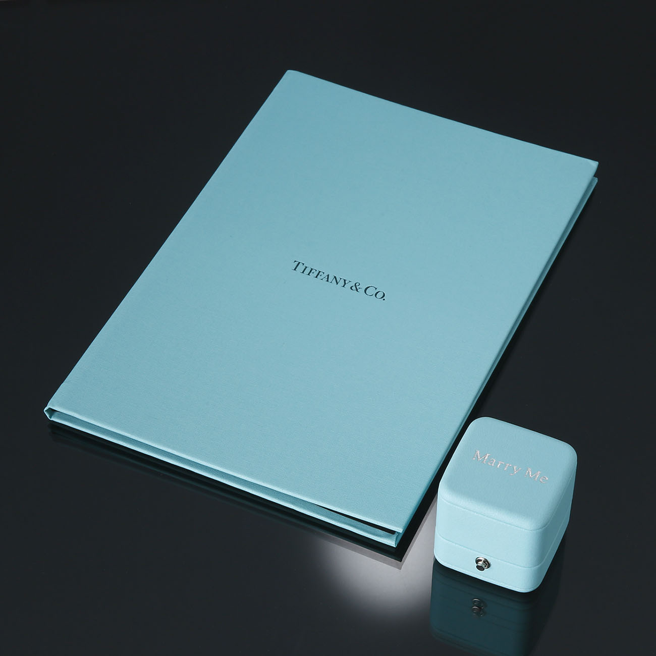TIFFANY(USED)티파니 다이아 웨딩링 0.22CT #52