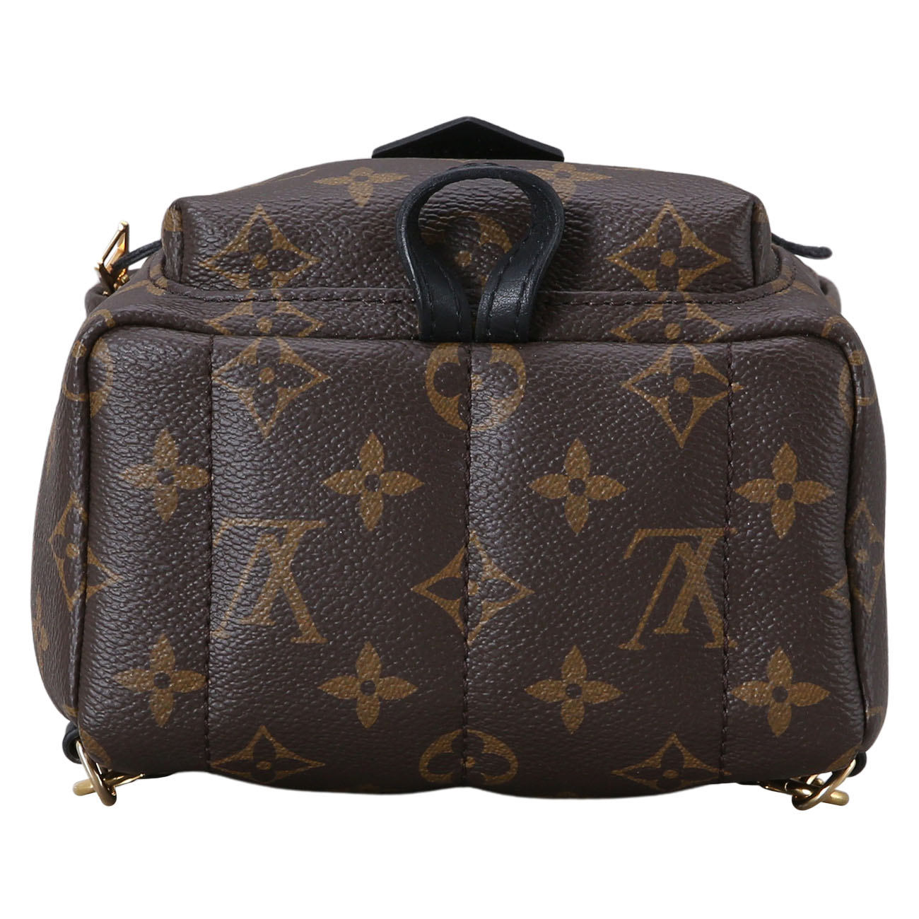 LOUIS VUITTON(USED)루이비통 모노그램 팜스프링 백팩