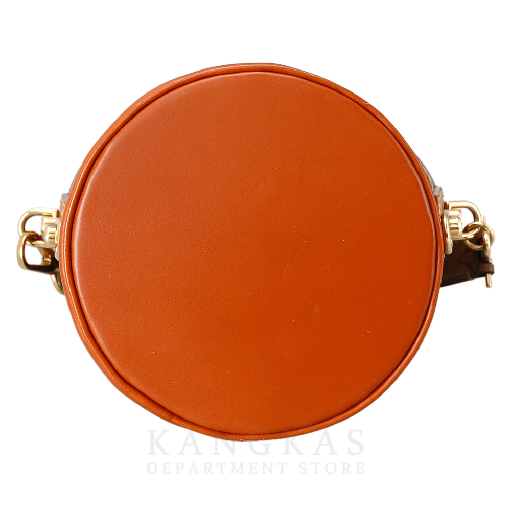 LOUIS VUITTON(USED)루이비통 레더 더플 버킷백