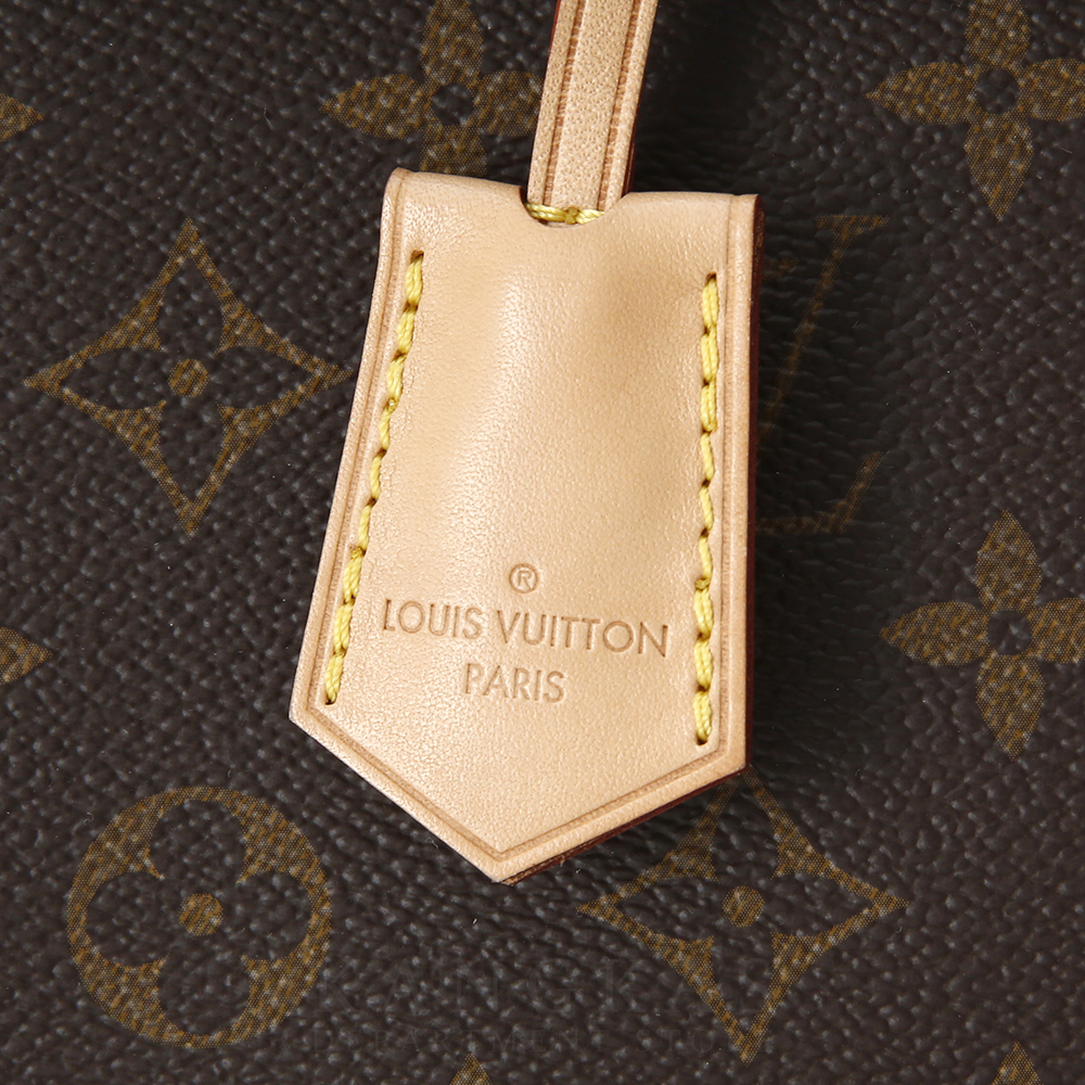 LOUIS VUITTON(USED)루이비통 모노그램 클루니 MM