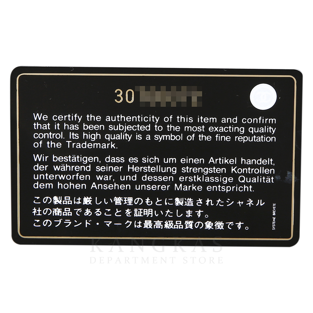CHANEL(USED)샤넬 19백 라지